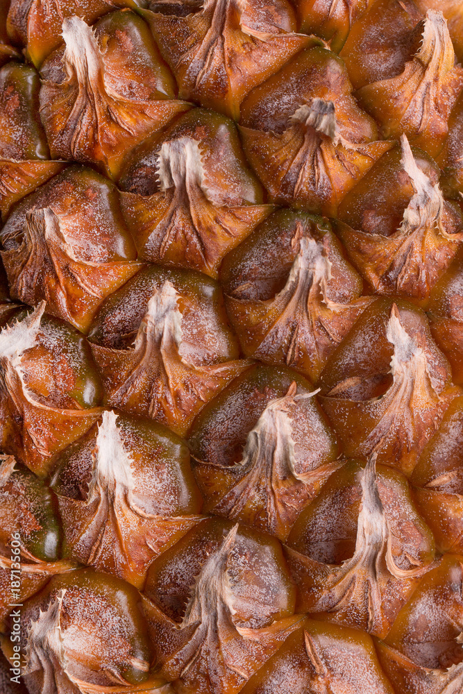 Fresh pineapple skin closeup