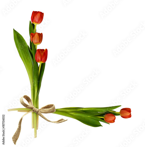 Fototapeta Naklejka Na Ścianę i Meble -  Red tulip flowers and bow in corner arrangement