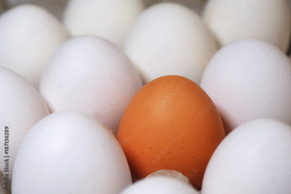 One defferent color egg between all white eggs One defferent color egg between all white eggs