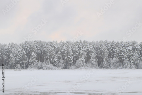 snowbound forest beyond the river © Anton