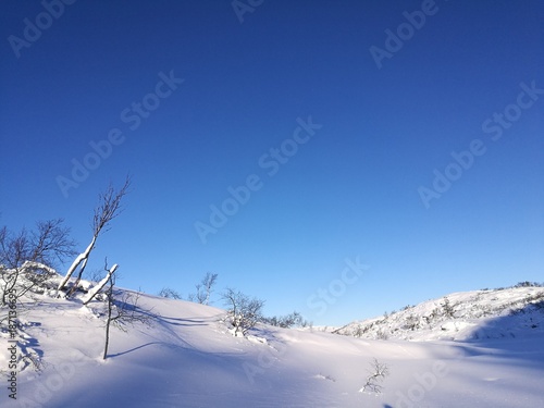 Winter landscape © ramund88