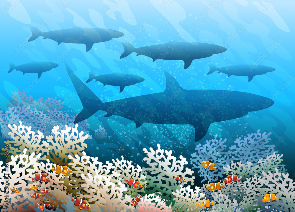 Obraz premium Shark shoal