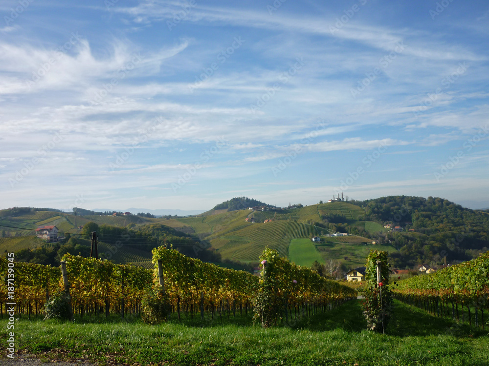 Styrian Wine Route near Gamlitz, Styria, Austria