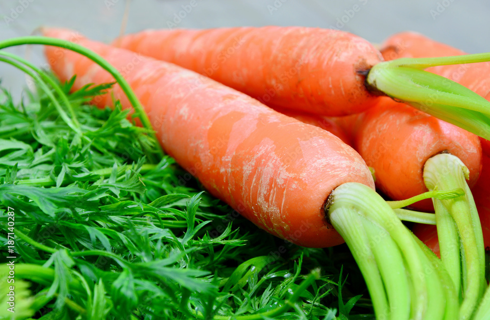 Carrots Carrots