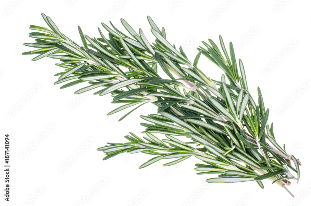 Fototapeta premium Sprigs of rosemary on white background