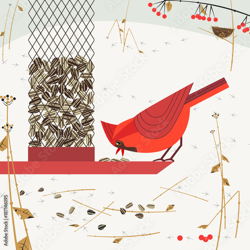 Cute Red Northern cardinal bird poster. Comic flat cartoon. Minimalism simplicity design. Winter birds feeding by sunflower seeds in feeder. Template birdwatching card background. Vector illustration