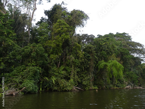 Amazonie au Pérou