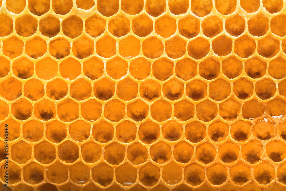 Fresh honeycomb as background, closeup