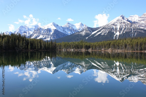 Fototapeta Naklejka Na Ścianę i Meble -  Herbert Lake Canadian Rockies