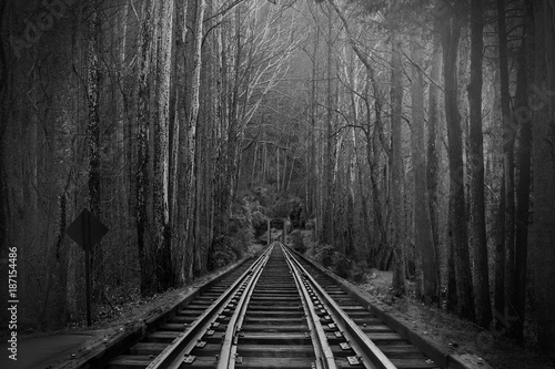 Black and White Photography of Train Tracks or Rail Roads in the Magical Fantasy Forest