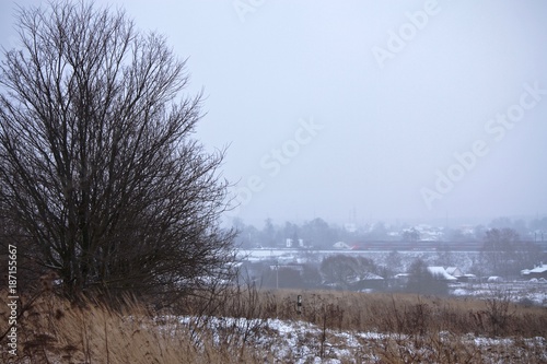 Wallpaper Mural the red-and-gray train is rushing in the witer landscape Torontodigital.ca