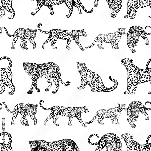 Seamless pattern of sketch style leopards. Vector illustration isolated on white background.