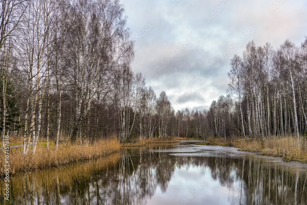 A beautiful pond, a snow-free day in December, in a constructed wetland for management of surface water. Located in Haninge close to Stockholm, Sweden.