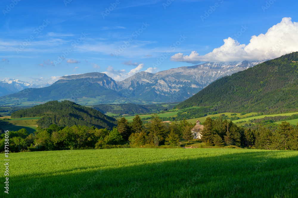 Green meadow and mountains. Rural landscape.