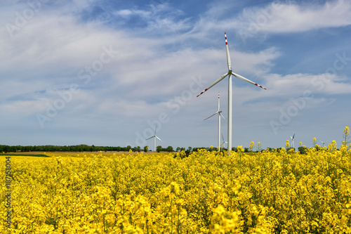 Summer landscape with wind turbines