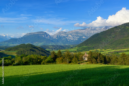 Green meadow and mountains. Rural landscape.