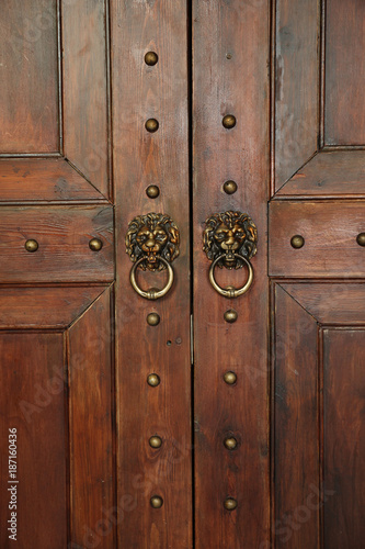 Wooden door with handles in the form of a lion's head