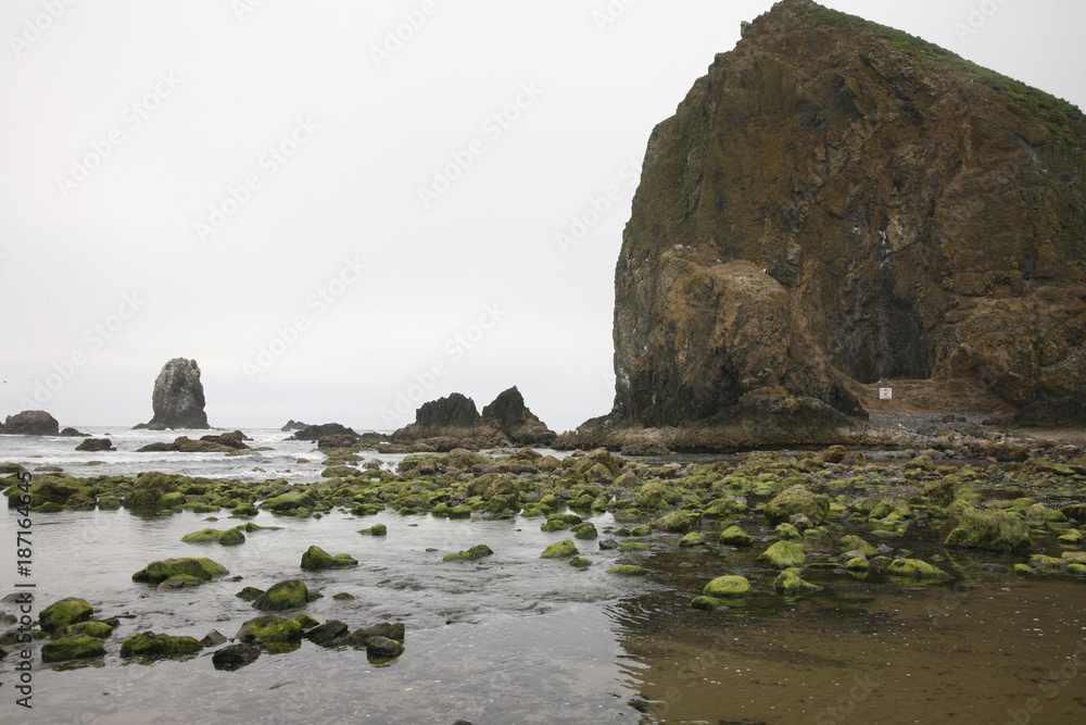 Haystack Rock at Cannon Beach with Mossy Rocks