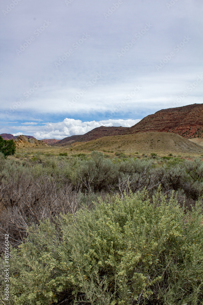 Utah landscape showing colorful desert vegetation Utah landscape showing colorful desert vegetation