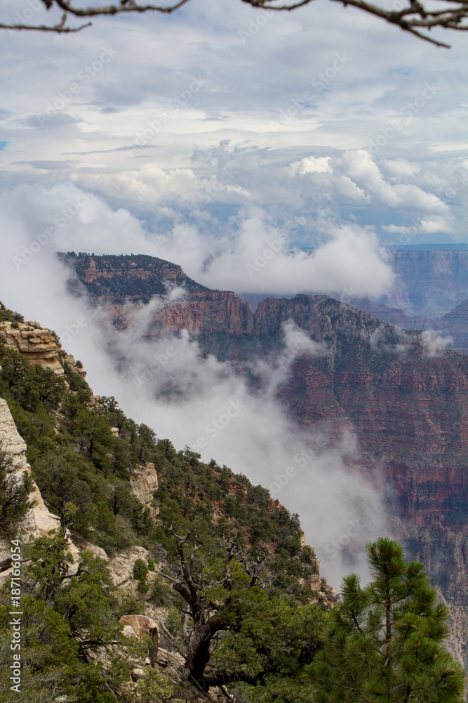 Foggy view of the Grand Canyon 