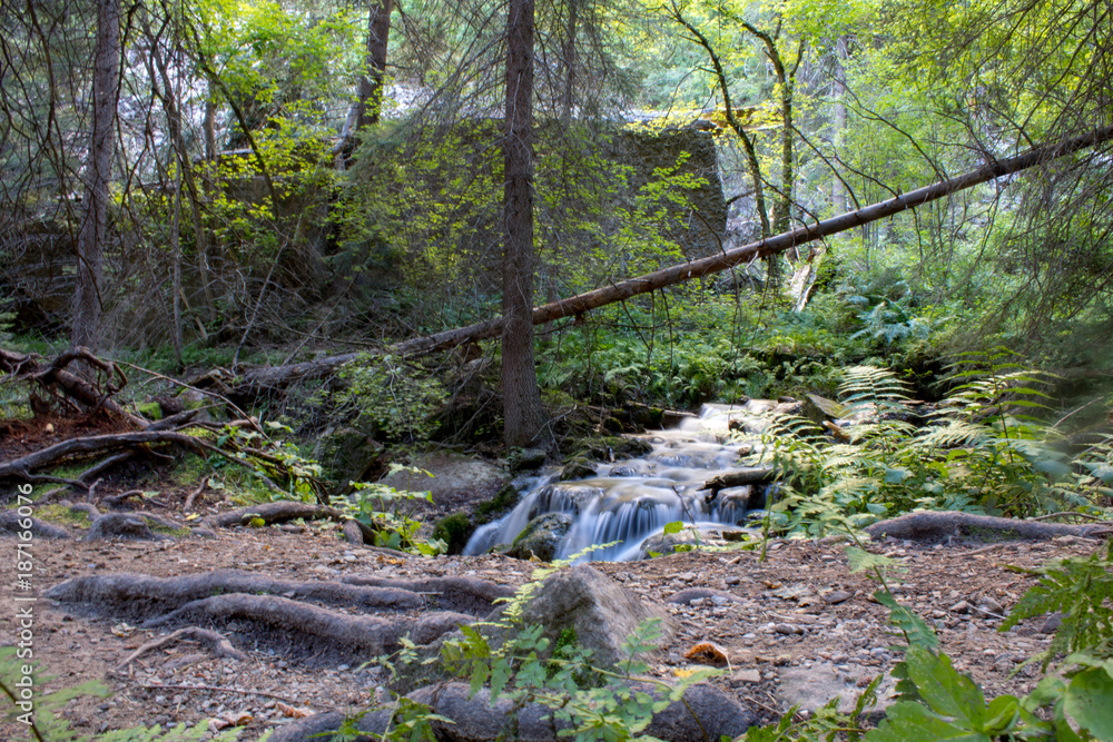 Fallen tree branch over river with small cascading waterfalls Fallen tree branch over river with small cascading waterfalls