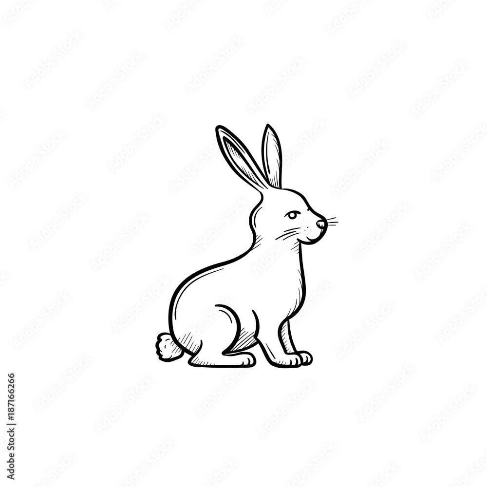Obraz premium Vector hand drawn Rabbit outline doodle icon. Rabbit sketch illustration for print, web, mobile and infographics isolated on white background.