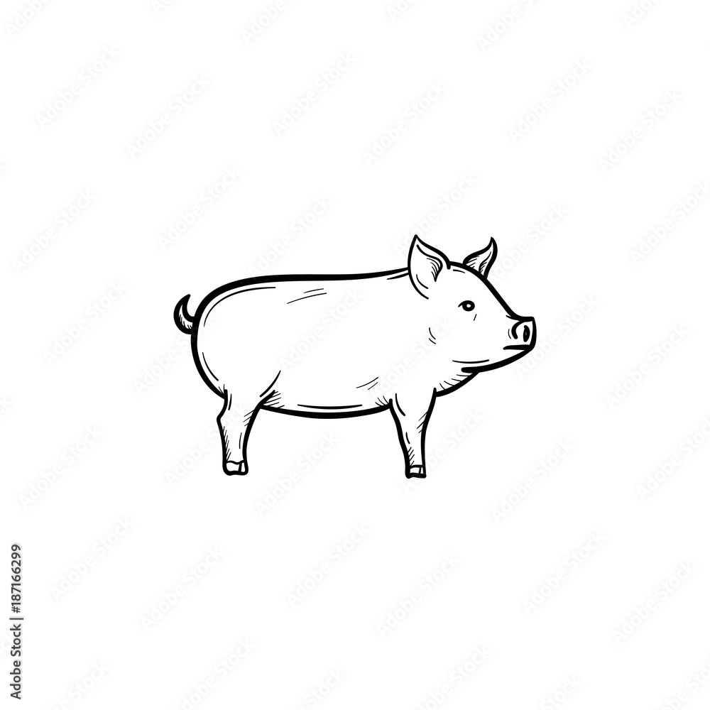 Vector hand drawn Pig outline doodle icon Vector hand drawn Pig outline doodle icon