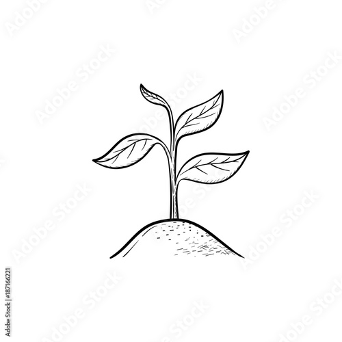 Vector hand drawn Sprout outline doodle icon