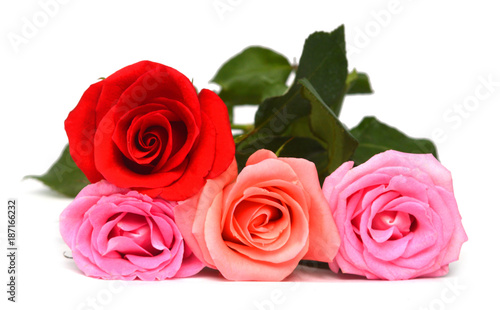 Bunch of red  yellow and pink roses isolated on white