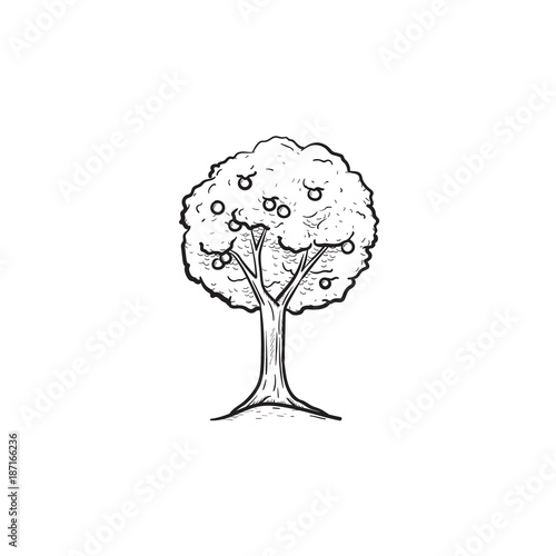 Vector hand drawn Fruit tree outline doodle icon