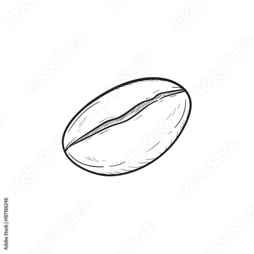 Vector hand drawn Coffee bean outline doodle icon