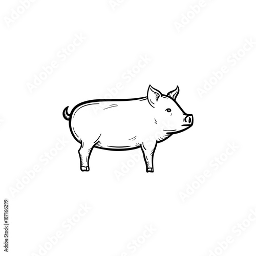 Vector hand drawn Pig outline doodle icon