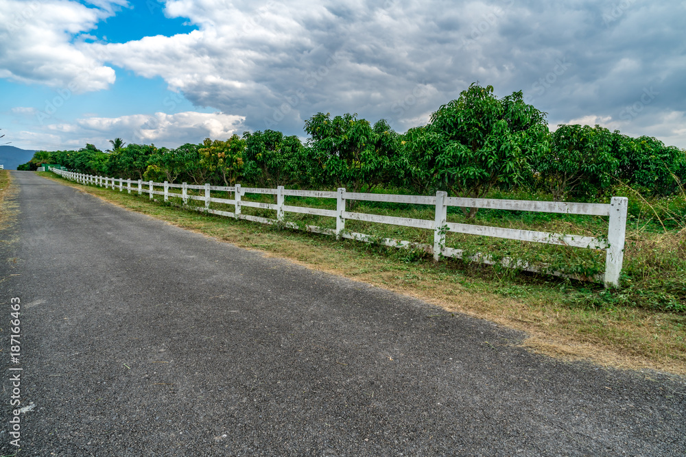 Asphalt road with white fence