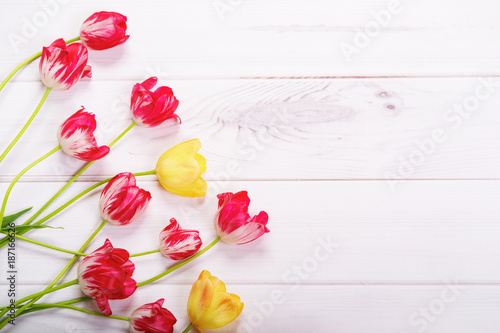 Red, yellow tulips flowers in wooden background.