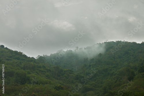 Fog on the green mountain. © thongchainak