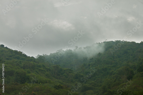 Fog on the green mountain.