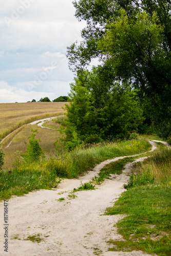 Rural road near the collective farm field with wheat