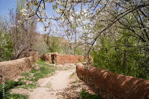 abyaneh village a relic of ancient Persia, 2500 yers ago,Kashan, Iran photo