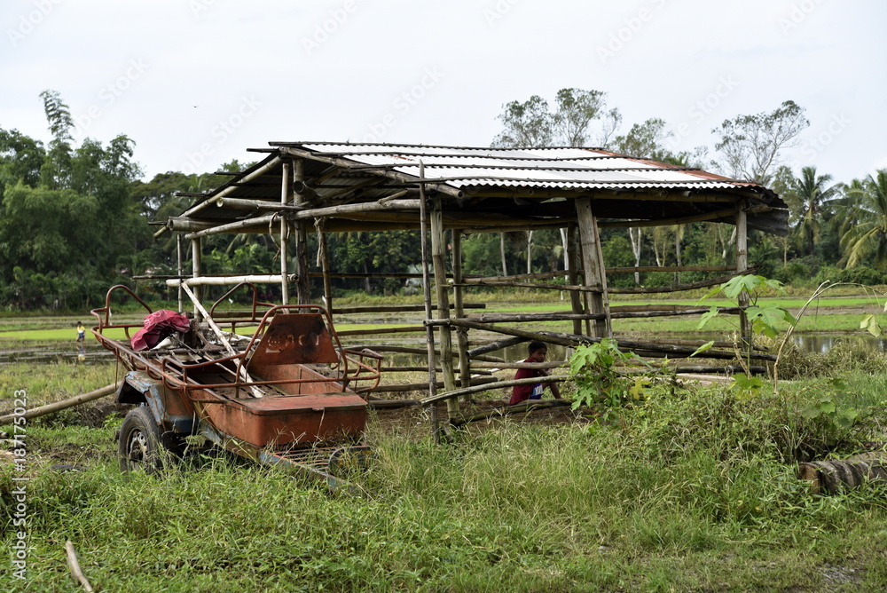 Obraz premium Santiago City Sightseeing, Road and city view, Rice Fields,Philippines.