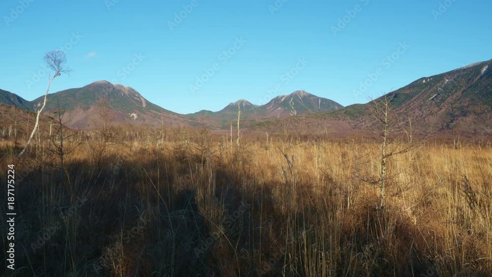 戦場ヶ原と男体山 戦場ヶ原と男体山