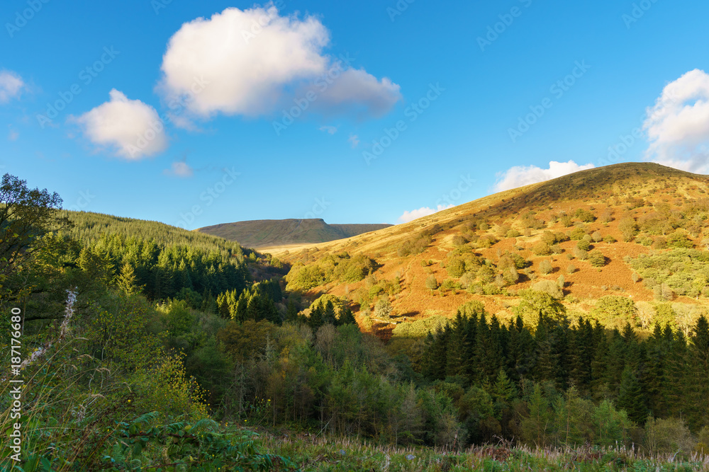 Landscape in the Brecon Beacons National Park between Torpantau and Blaen-y-glyn, Powys, Wales, UK