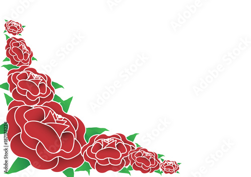 red roses on white background. vector