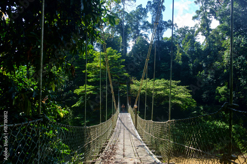 Danum Valley in Sabah 3, Malaysian Borneo
