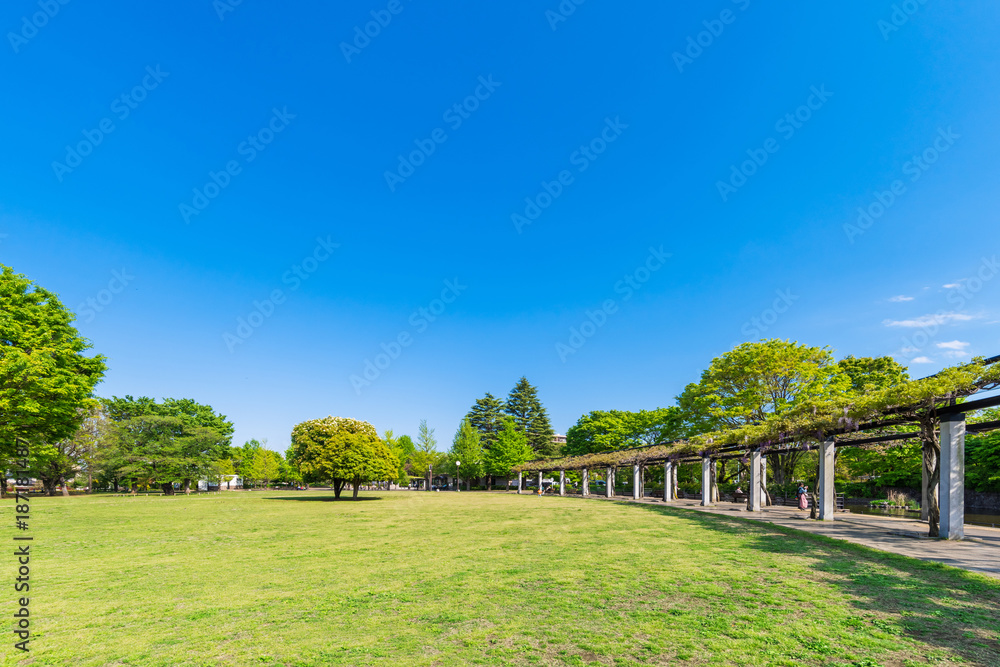 武蔵国分寺公園 武蔵国分寺公園