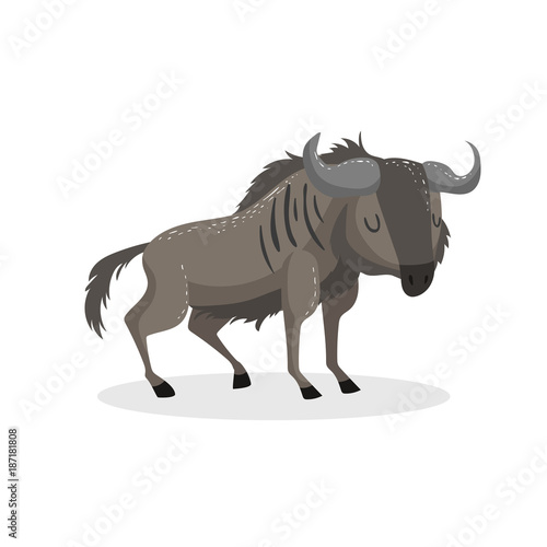 Cartoon trendy design wildebeest standing. African wildlife animal isolated on white background. Vector gnu illustration.