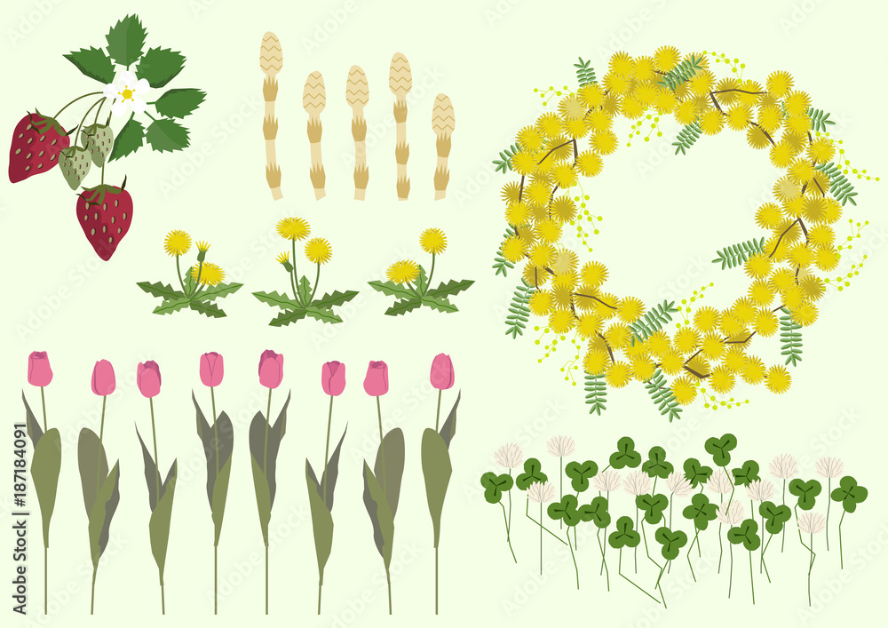 ミモザの花と春の植物 春のイメージ イラスト素材集 Vector De Stock Adobe Stock