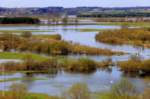 Panoramic view of wetlands and meadows of the Biebrzanski National Park by the Biebrza river in Poland