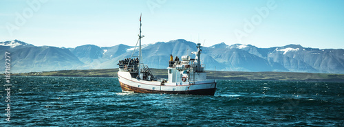 Leinwand Poster Icelandic fishing boat for whale watching.