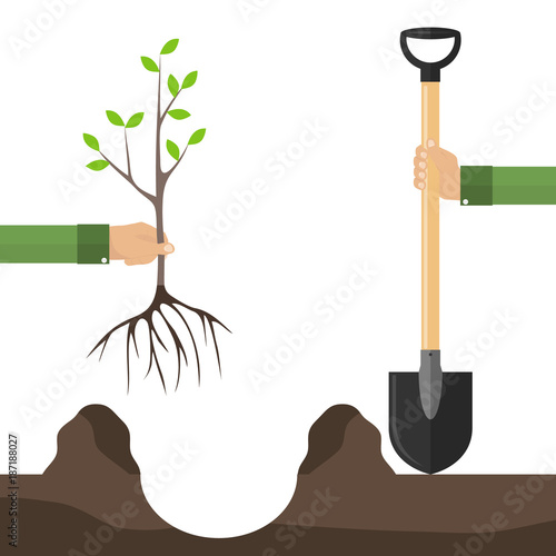 A hand with a shovel plants a tree seedling. The concept of planting a tree. One hand holds a shovel, the other holds a tree seedling.