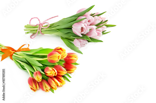 Fototapeta Naklejka Na Ścianę i Meble -  Tulpen auf weiß